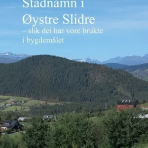 Stadnamn i Øystre Slidre : slik dei har vore brukte i bygdemålet