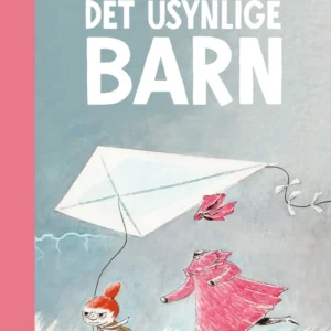 Det usynlige barn