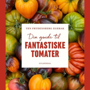 Din guide til fantastiske tomater