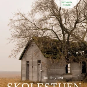 Skolestuen  -  historier om drengene