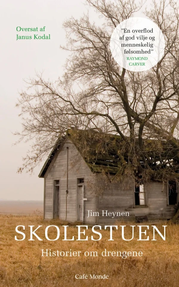 Skolestuen  -  historier om drengene