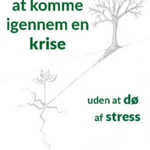 Kunsten at komme igennem en krise uden at dø af stress