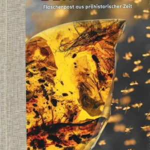 BERNSTEIN - Flaschenpost aus prähistorischer Zeit