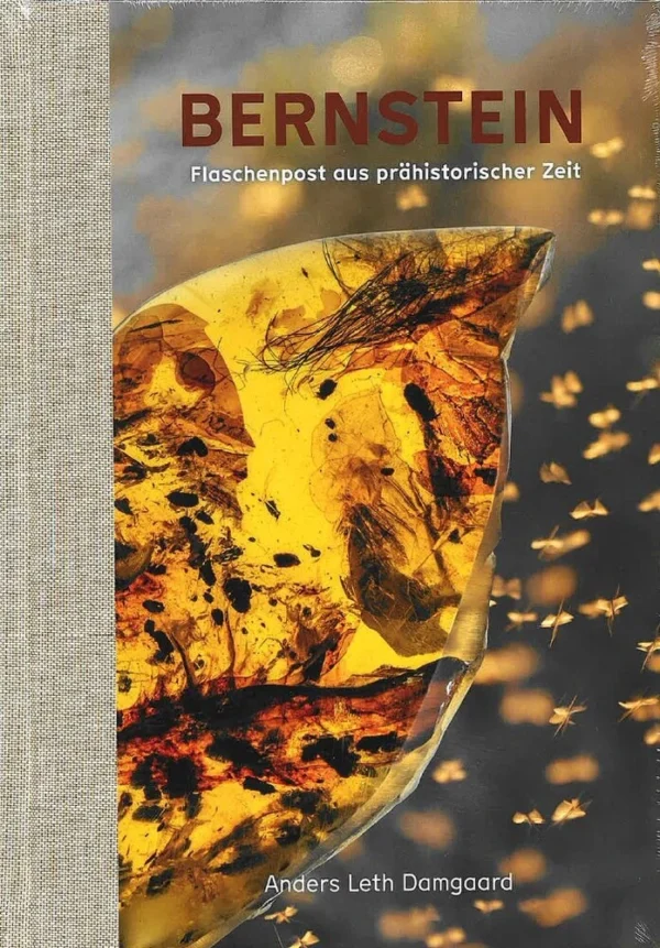 BERNSTEIN - Flaschenpost aus prähistorischer Zeit