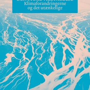 Den store vildfarelse
