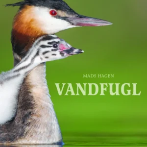 Vandfugl