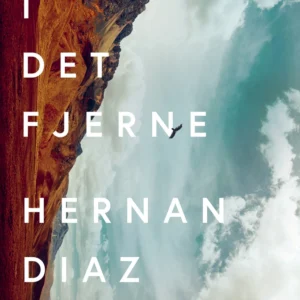 I det fjerne