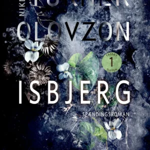 Isbjerg