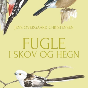 Fugle i skov og hegn