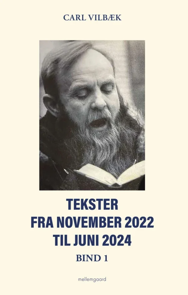 Tekster fra november 2022 til juni 2024 bind 1â¨