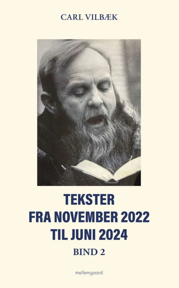 Tekster fra november 2022 til juni 2024 bind 2
