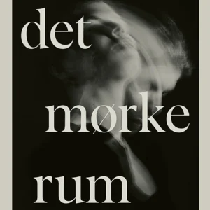 Det mørke rum