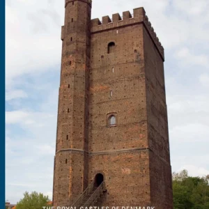 The royal castles of Denmark during the 14th century