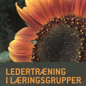 Ledertræning i læringsgrupper