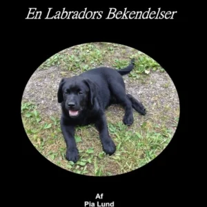 En Labradors Bekendelser