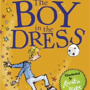 The Boy in the Dress