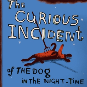 The Curious Incident of the Dog in the Night