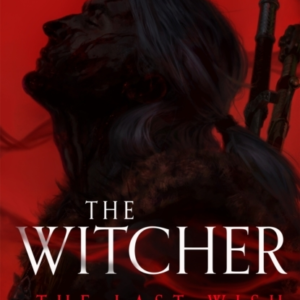 The Last Wish - Illustrated Edition