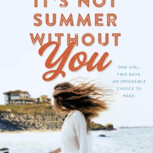 It's Not Summer Without You