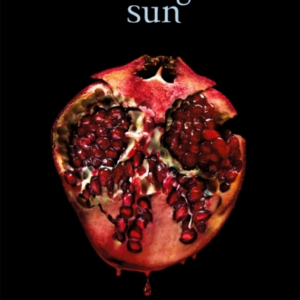 Midnight Sun