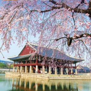 The Rough Guide To Korea