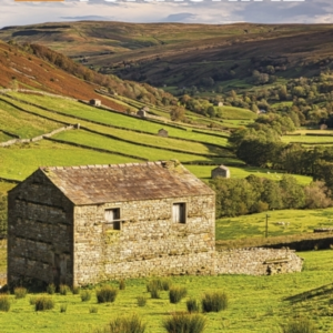 The Rough Guide To Yorkshire