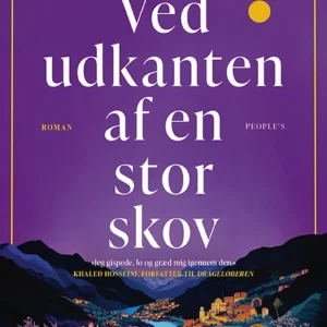 Ved udkanten af en stor skov