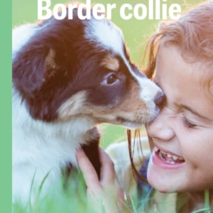 Border collie, Grøn Fagklub