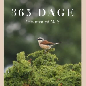 365 dage i naturen på Mols