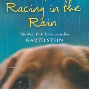 The Art of Racing in the Rain