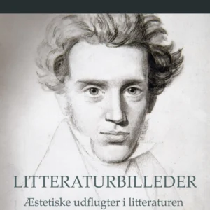 Litteraturbilleder: Æstetiske udflugter i litteraturen fra Søren Kierkegaard til Karen Blixen