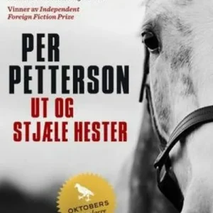 Ut og stjæle hester : roman