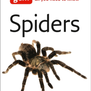 Spiders