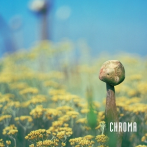 Chroma A Book Of Colour - June '93