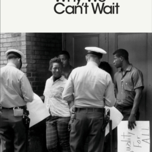 Why We Can'T Wait