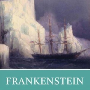 Frankenstein A Norton Critical Edition