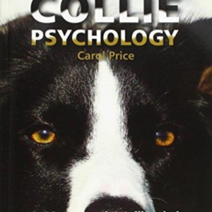 Collie Psychologyinside The Border Collie Mind