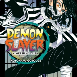 Demon Slayer Kimetsu No Yaiba Vol. 19