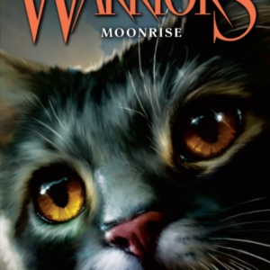 Moonrise