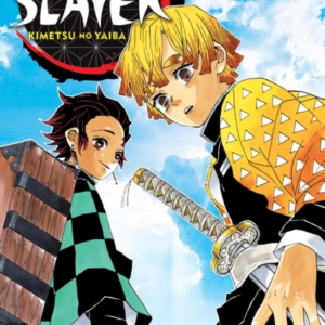 Demon Slayer Kimetsu No Yaiba Vol. 3