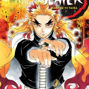 Demon Slayer Kimetsu No Yaiba Vol. 8