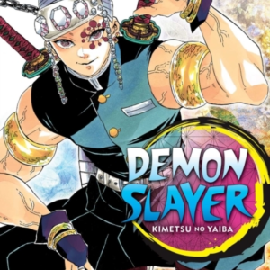 Demon Slayer Kimetsu No Yaiba Vol. 9