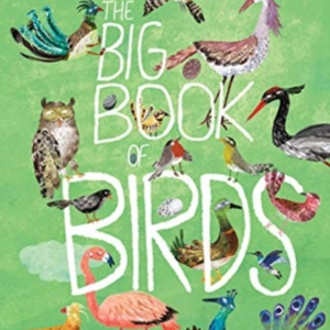 The Big Book Of Birds