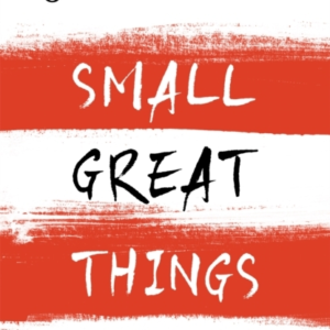 SMALL GREAT THINGS THE BESTSELLING NOVEL YOU WON'T WANT TO M