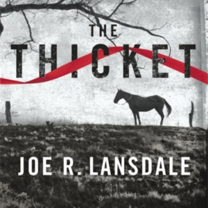 THE THICKET