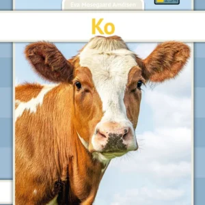 Ko