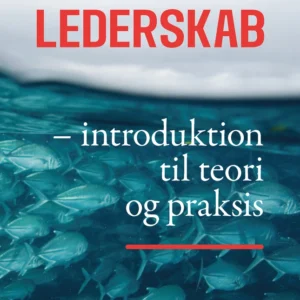 Lederskab