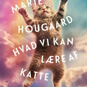 Hvad vi kan lære af katte