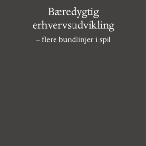 Bæredygtig erhvervsudvikling