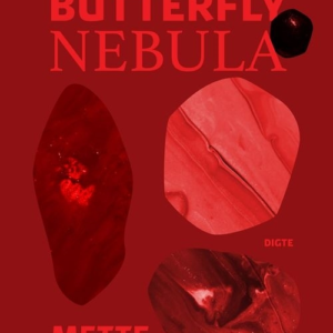 Butterfly Nebula